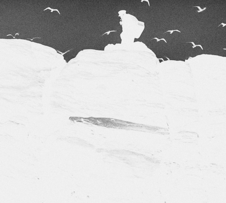 The Lighthouse [2019].