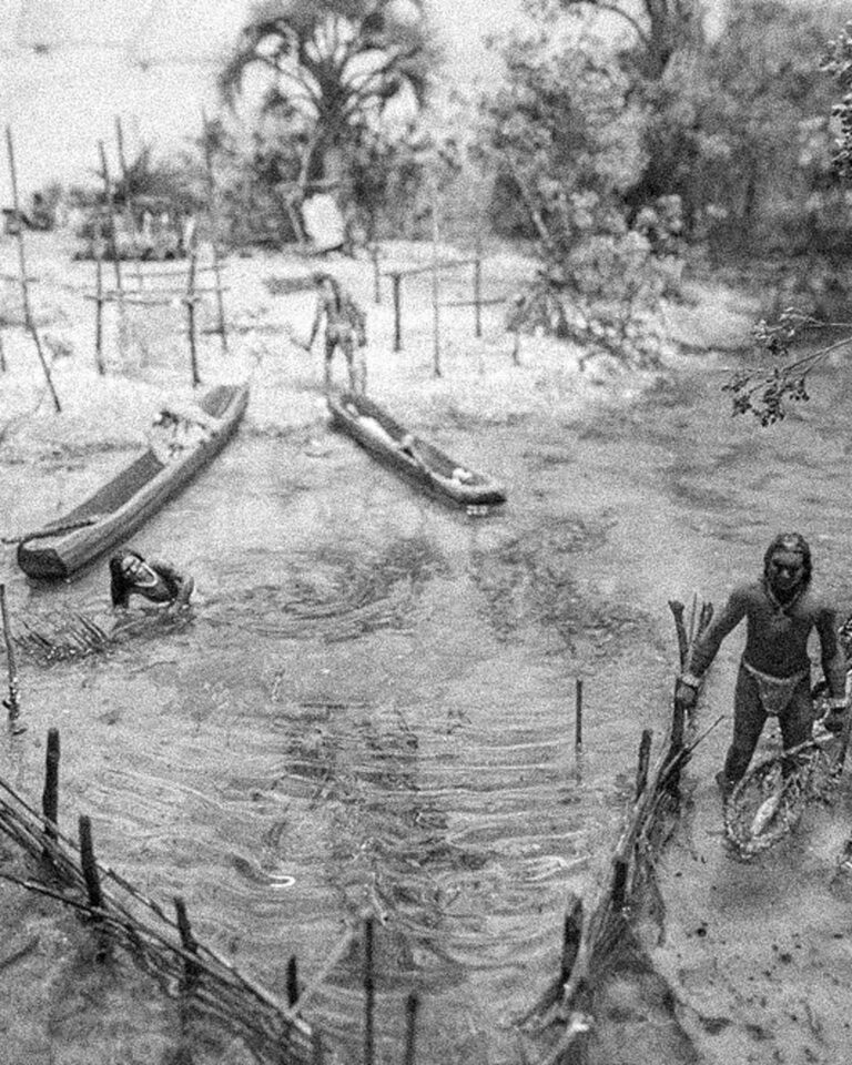 Calusa diorama at the Florida Museum.